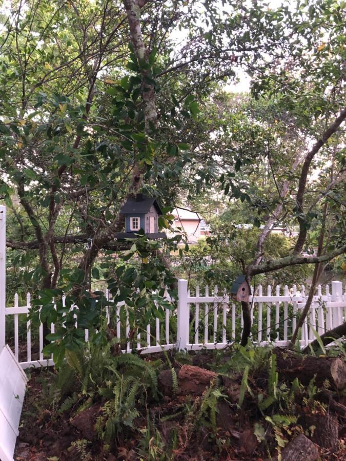 Cozy Cottage River House Weeki Wachee Eksteriør bilde