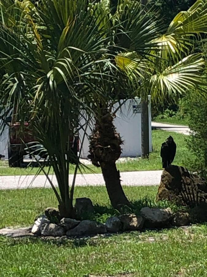 Cozy Cottage River House Weeki Wachee Eksteriør bilde