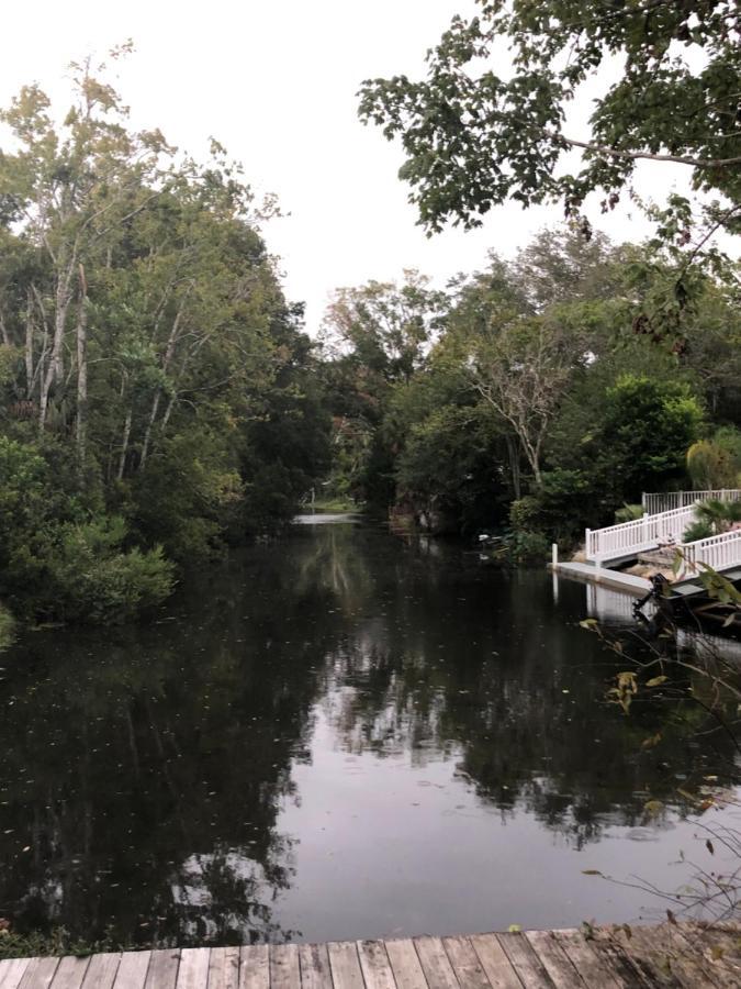 Cozy Cottage River House Weeki Wachee Eksteriør bilde
